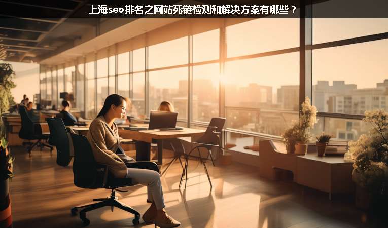 上海seo排名之網站死鏈檢測和解決方案有哪些？