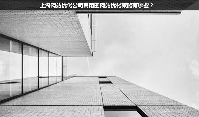 上海網(wǎng)站優(yōu)化公司常用的網(wǎng)站優(yōu)化策略有哪些？
