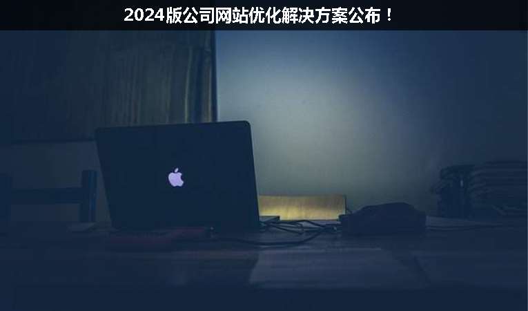 2024版公司網(wǎng)站優(yōu)化解決方案公布！