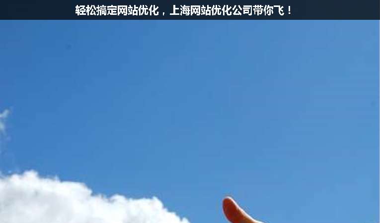 輕松搞定網(wǎng)站優(yōu)化，上海網(wǎng)站優(yōu)化公司帶你飛！