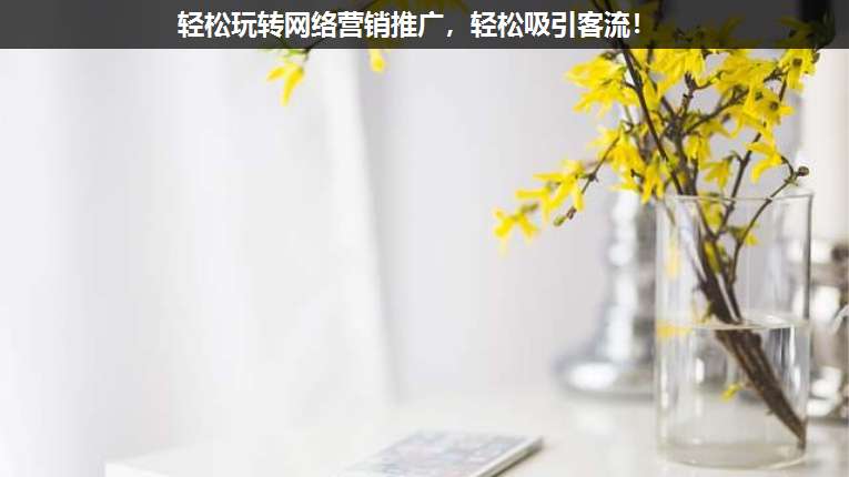 輕松玩轉(zhuǎn)網(wǎng)絡營銷推廣,輕松吸引客流!