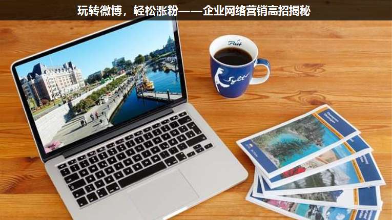 玩轉(zhuǎn)微博,輕松漲粉——企業(yè)網(wǎng)絡(luò)營銷高招揭秘