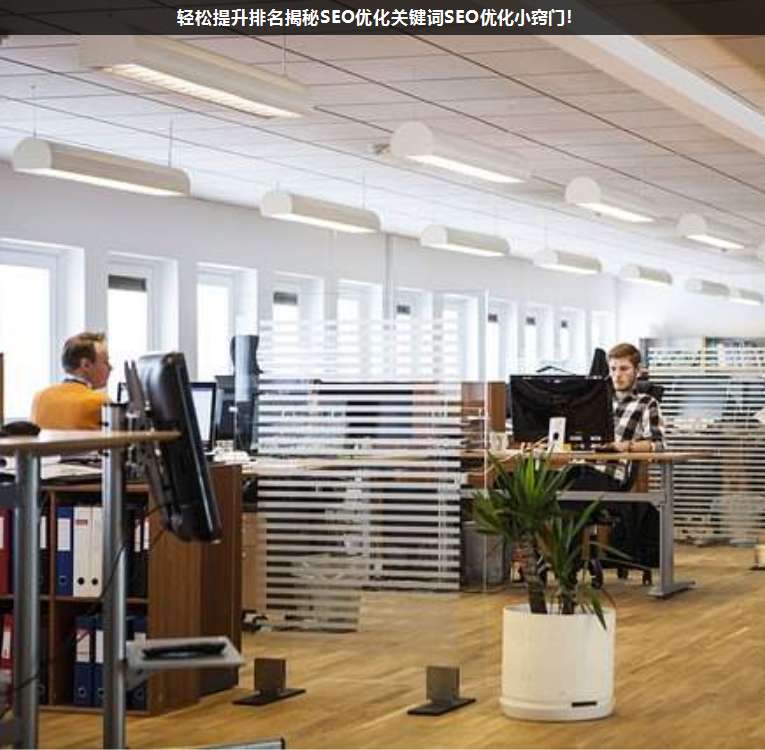 輕松提升排名揭秘SEO優(yōu)化關鍵詞SEO優(yōu)化小竅門!