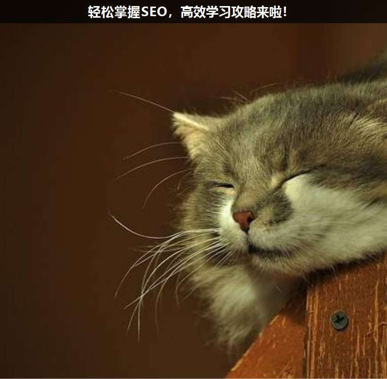 輕松掌握SEO,高效學(xué)習(xí)攻略來啦!