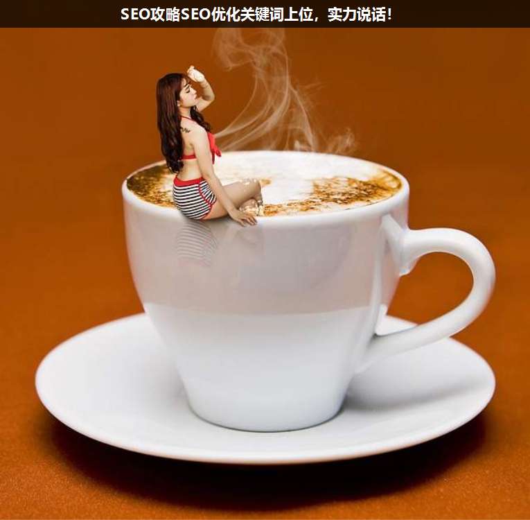 SEO攻略SEO優(yōu)化關(guān)鍵詞上位,實(shí)力說(shuō)話(huà)!