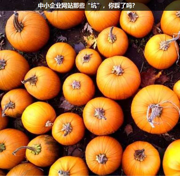 中小企業(yè)網(wǎng)站那些“坑”,你踩了嗎?