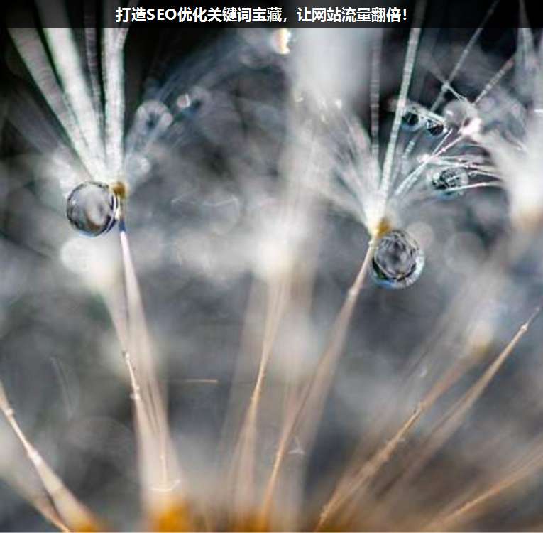 打造SEO優(yōu)化關鍵詞寶藏,讓網(wǎng)站流量翻倍!