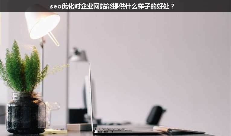 seo優(yōu)化對(duì)企業(yè)網(wǎng)站能提供什么樣子的好處？
