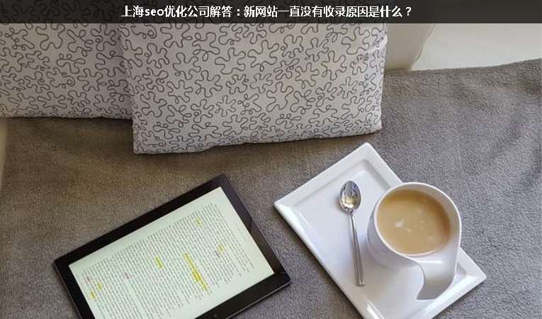 上海seo優(yōu)化公司解答：新網(wǎng)站一直沒有收錄原因是什么？
